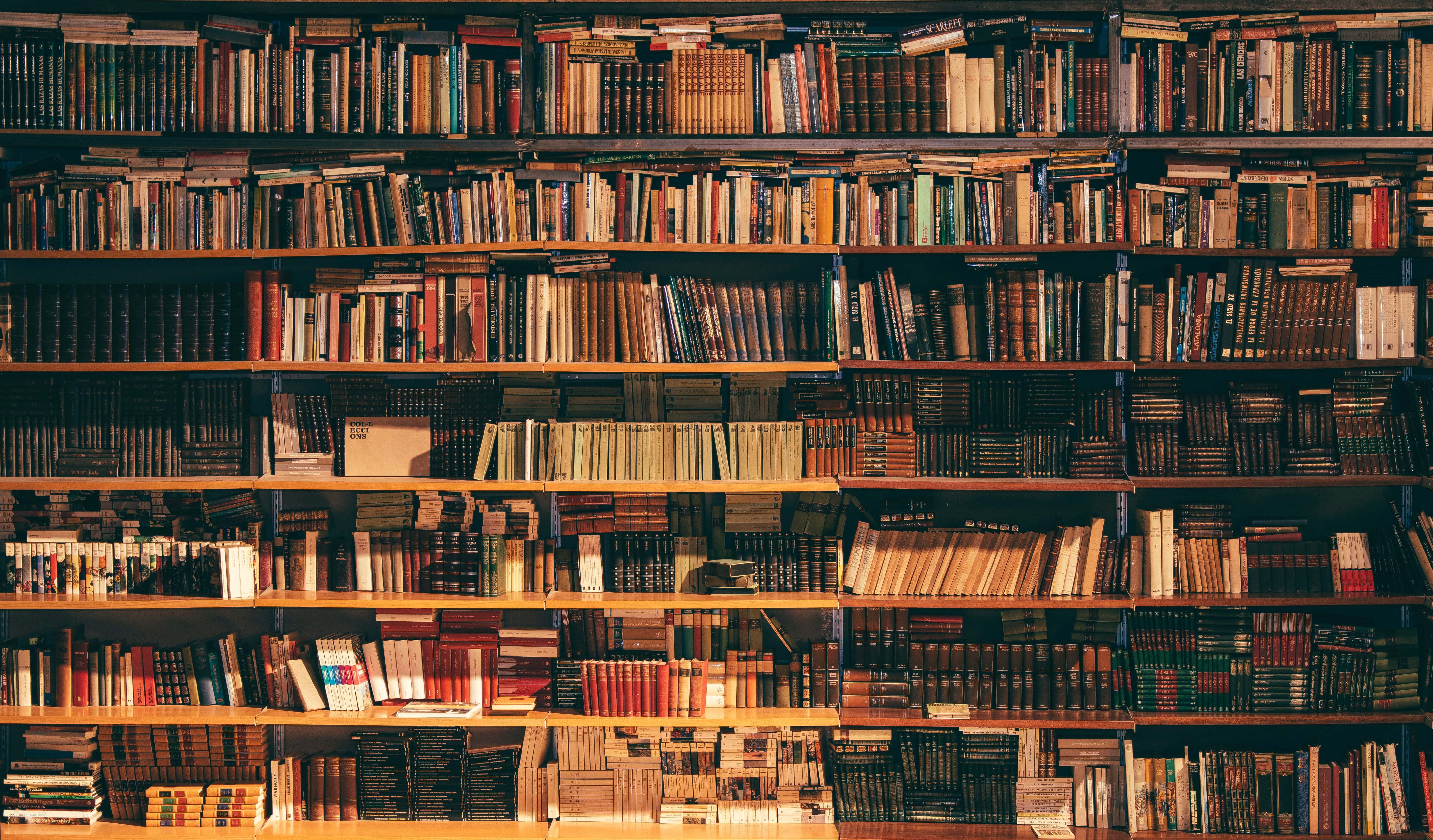 Biblioteca Ruy Carlos Ostermann #22 – os livros das nossas parceiras