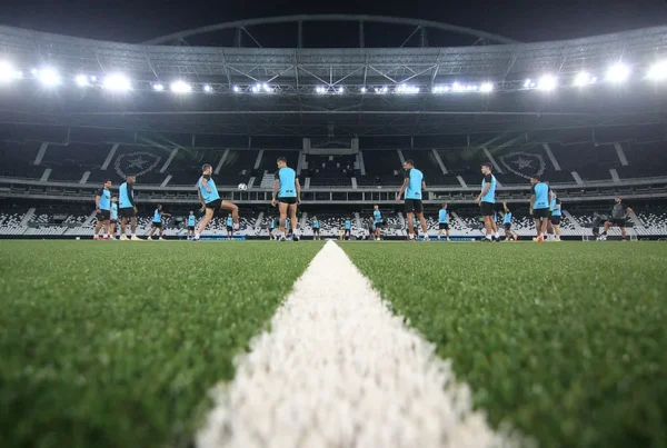 Brasileirão 2026 pode bater recorde de gramados sintéticos