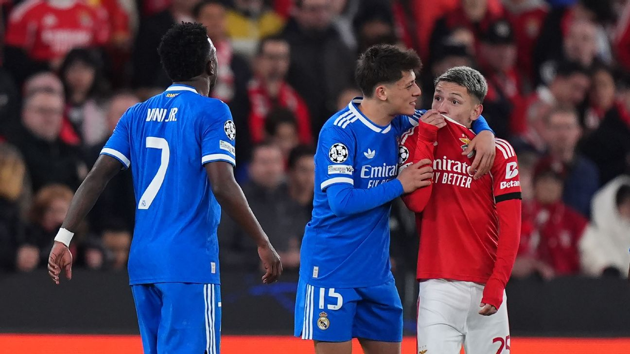 As quatro linhas da Terra sem Lei